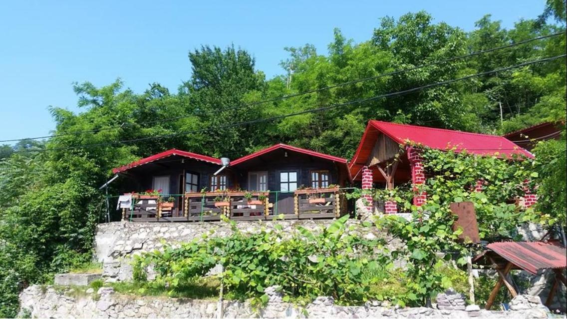 Gratca Nr 164 Orsova Exterior photo
